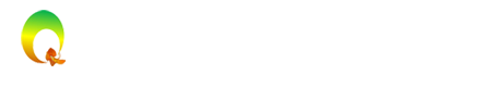 logo h3